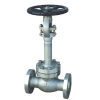 Cryogenic Globe Valve